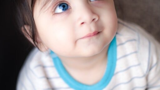 keep kids safe petaling jaya pj little human scholars kidnap kidnapping safe school safest best guard guards children kiddos